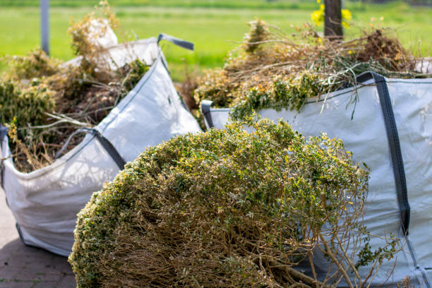 Debris Removal in Emerald Bay, TX